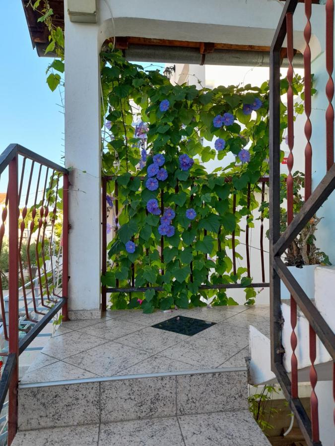 Ferienwohnung Eleni Tivat Exterior foto